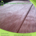 Rotary Cut 1280X2500X0.15-0.5mm Segundo grado Bintangor Face Veneer de Linyi